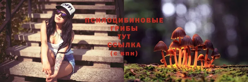 Галлюциногенные грибы Cubensis  Уяр 